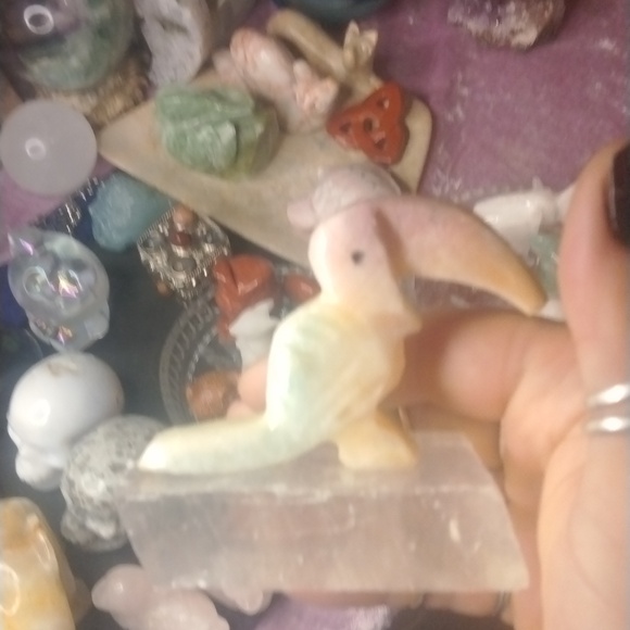 The Toucan - Picture 1 of 1